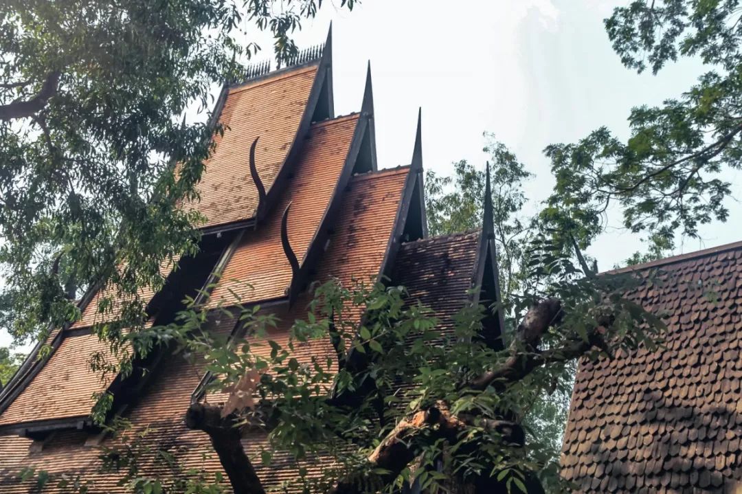 在清迈逛夜市感受泰国人慢生活,去清迈享受放下脚步的慢生活