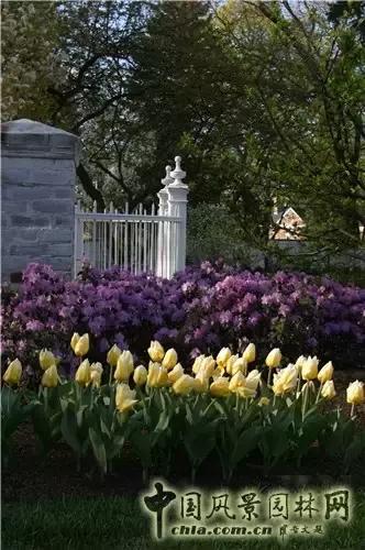 十种风格花园设计理念，60张案例图片详解