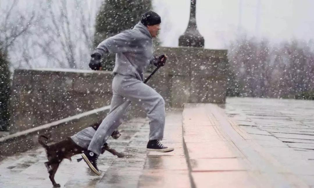 洛奇哪一部最值得看,看完洛奇这部电影的感觉