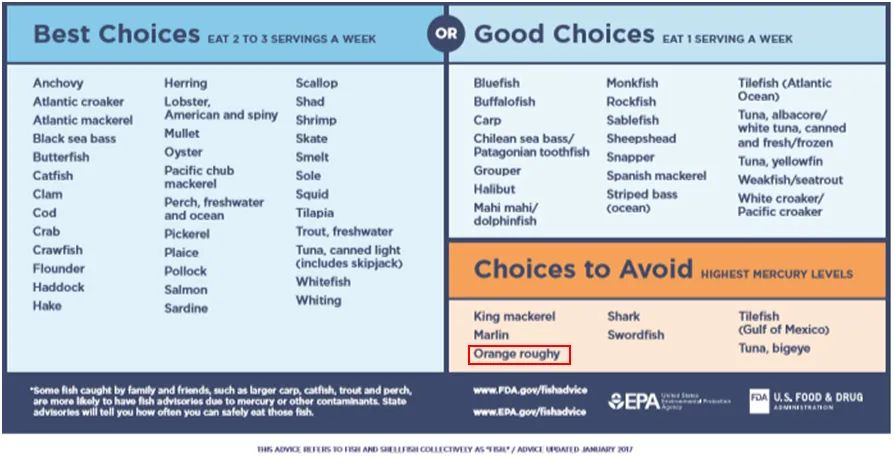 长寿鱼为什么建议避免食用,好健康的长寿鱼