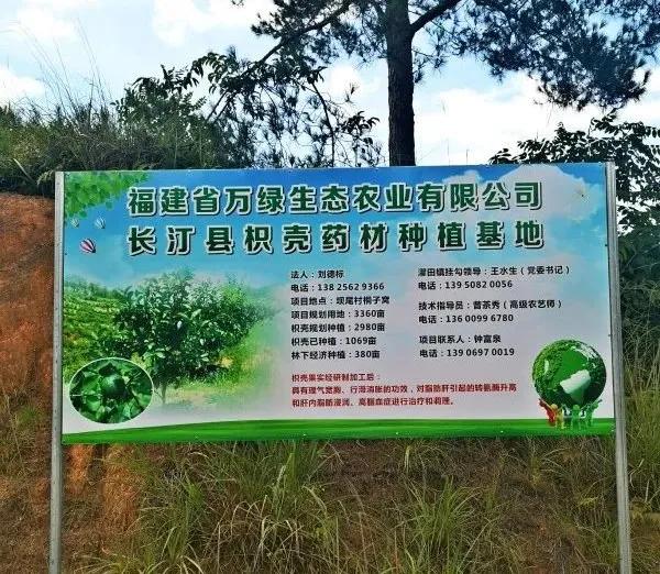 本草纲目里面有哪些药草,本草纲目里面的植物有什么