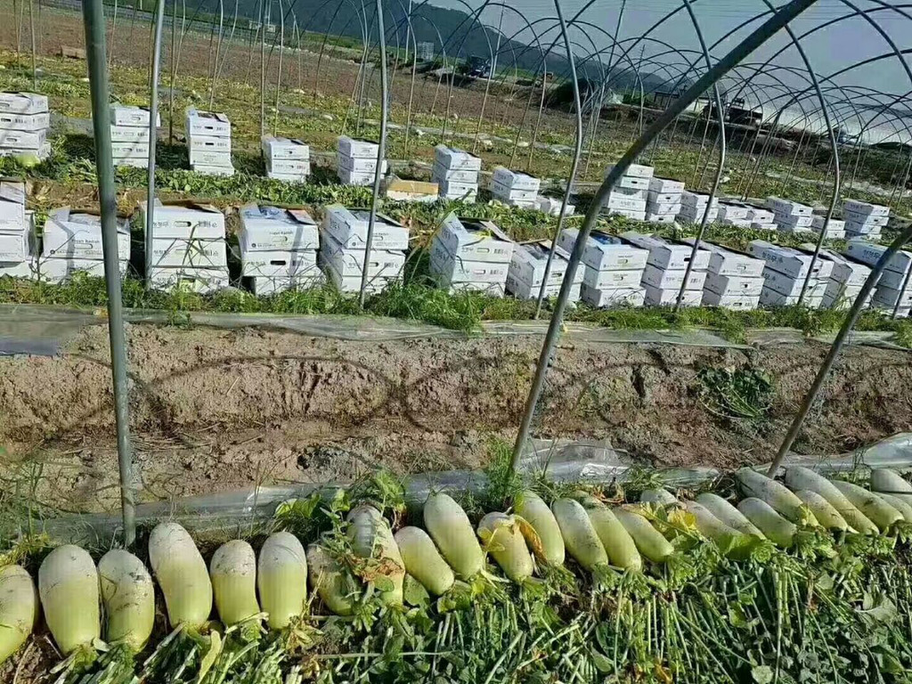 盐城劳务出国在哪报名,湖南出国劳务报名大厅