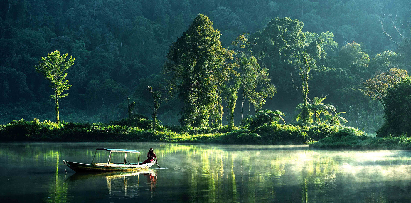 燕窝初创品牌,燕窝品牌的打造方式是什么