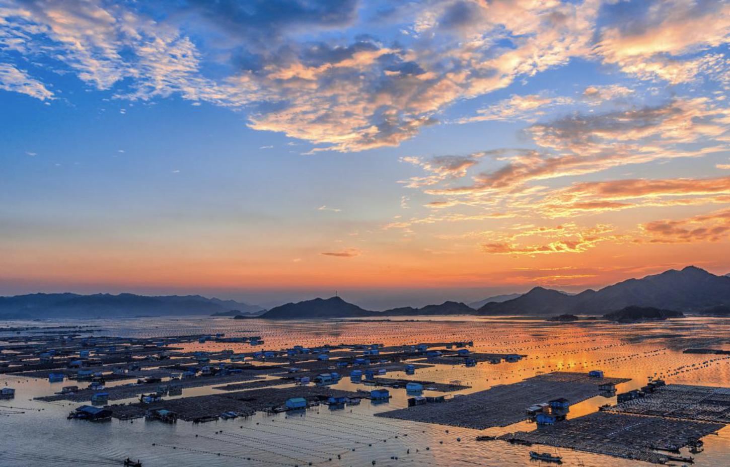 獐子岛一季度为什么亏损,獐子岛为什么连续亏损