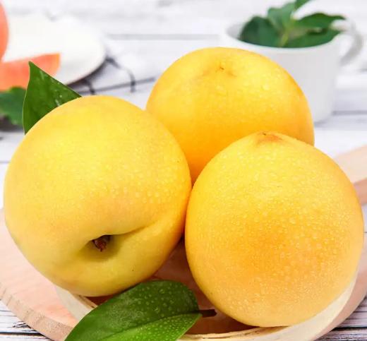 具有山东特色的水果有哪些,山东最有营养的水果