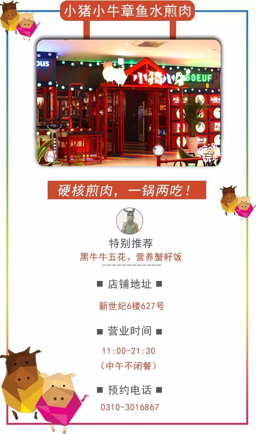 小猪小牛吃火锅,小猪小牛最新视频