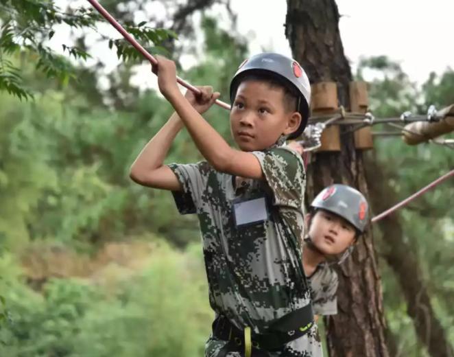 李玫瑾教授责任感比意志力更重要,李玫瑾意志力培养不是靠智力培养