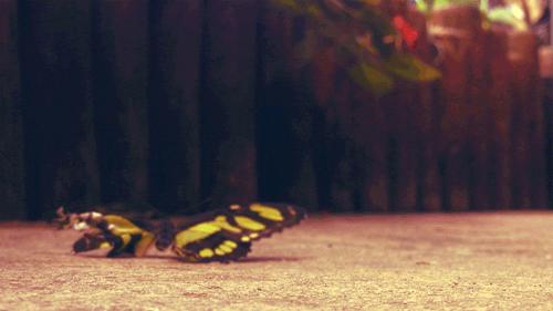 自恋者不在乎你的感受,自恋者的两种感受