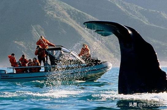 新西兰是地球最后的净土吗,新西兰十大未解之谜