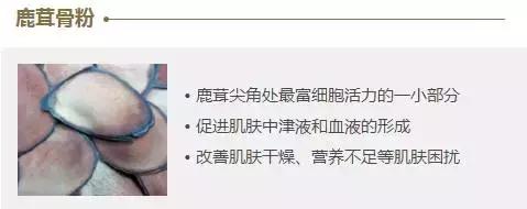 韩国whoo后天气丹套装真假难辨,whoo后天气丹套盒有哪些东西