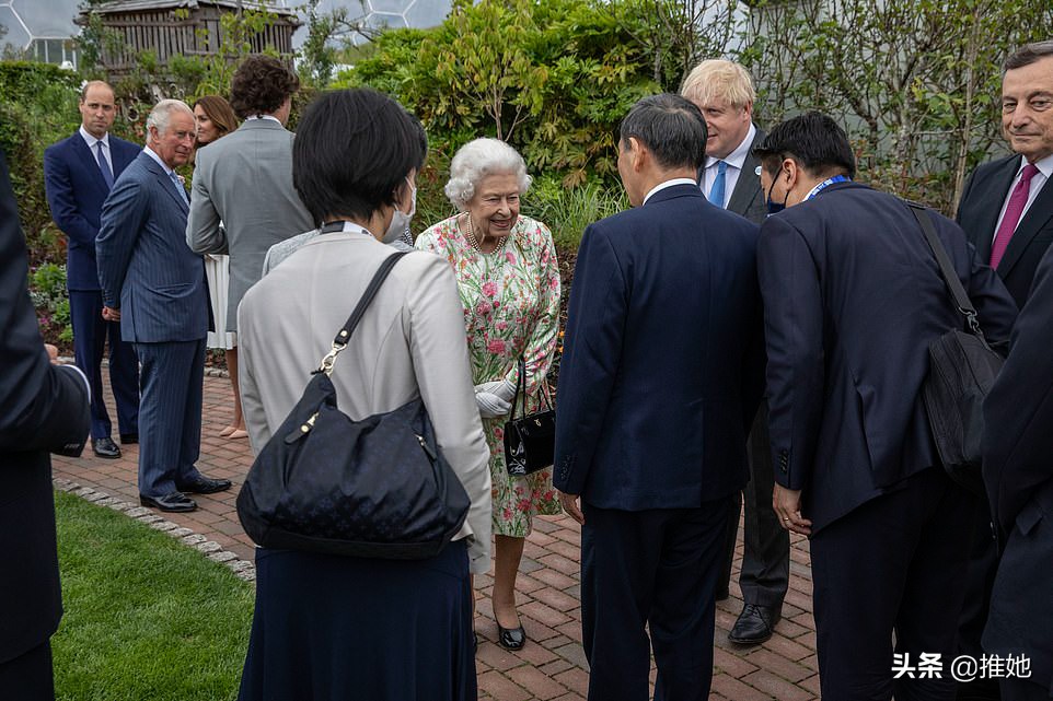 七国峰会女王着装,七国峰会英女王会见各国政要视频