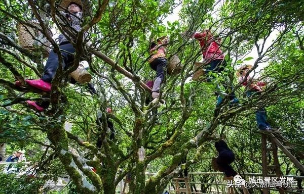 潮州十大特色,潮安区景点前十名