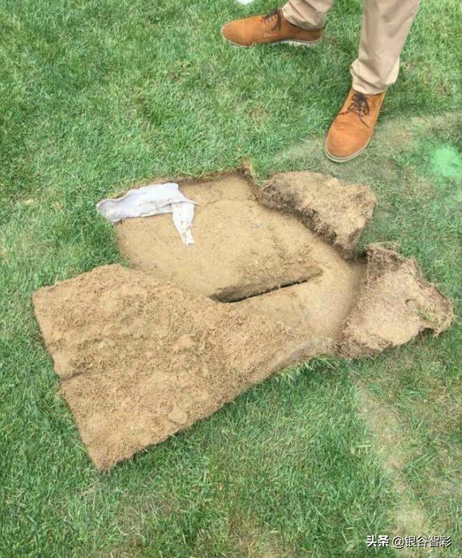 为什么鸟巢不能放在房间,鸟巢为什么不做成足球场