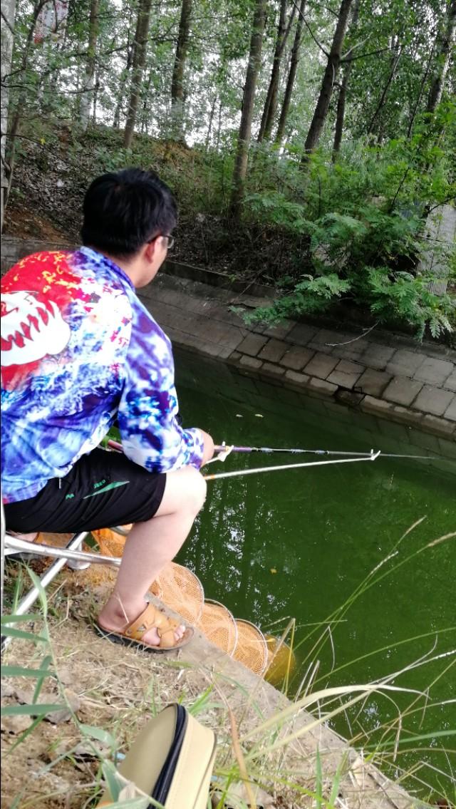 天气转凉大河野钓,天气炎热钓浅滩