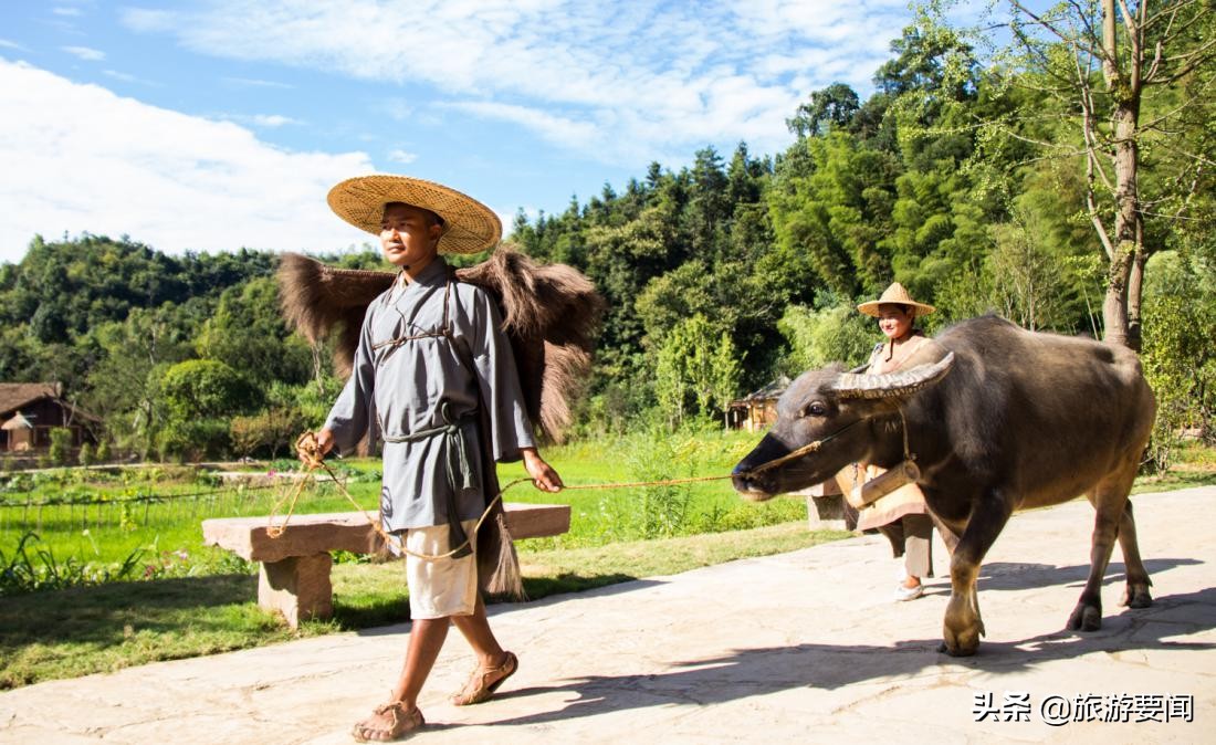 桃花源最新招聘,桃花源2021招聘