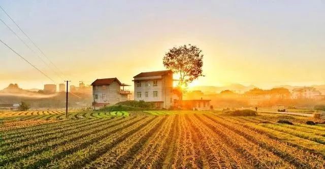 修路占用村集体土地合法吗,修路毁坏基本农田怎么处理