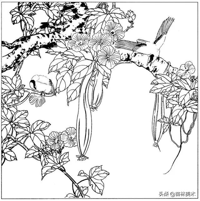 现代国画工笔花鸟白描及完整版,路雨年工笔白描花鸟团扇高清图片