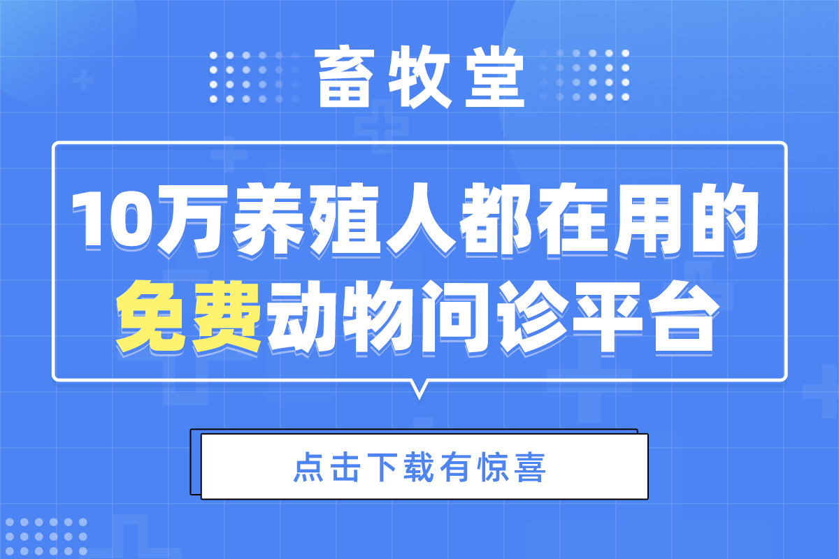 猪霉菌毒素中毒有什么症状,猪霉菌毒素中毒用什么药给猪解毒