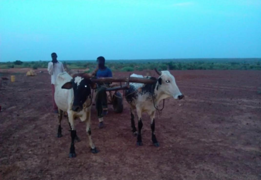 非洲最穷国家“尼日尔”,带你们看看他们的真实生活