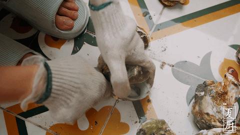 蒜蓉烤箱烤生蚝温度和时间是多少,烤箱烤生蚝蒜蓉做法教程