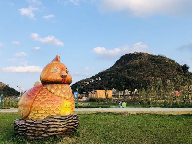 养鸡销售渠道和策划,用创业思维如何经营一个养鸡场