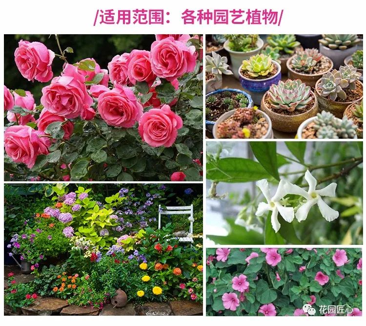 预防植物病虫害用什么药,植物病虫害防治的基本方法