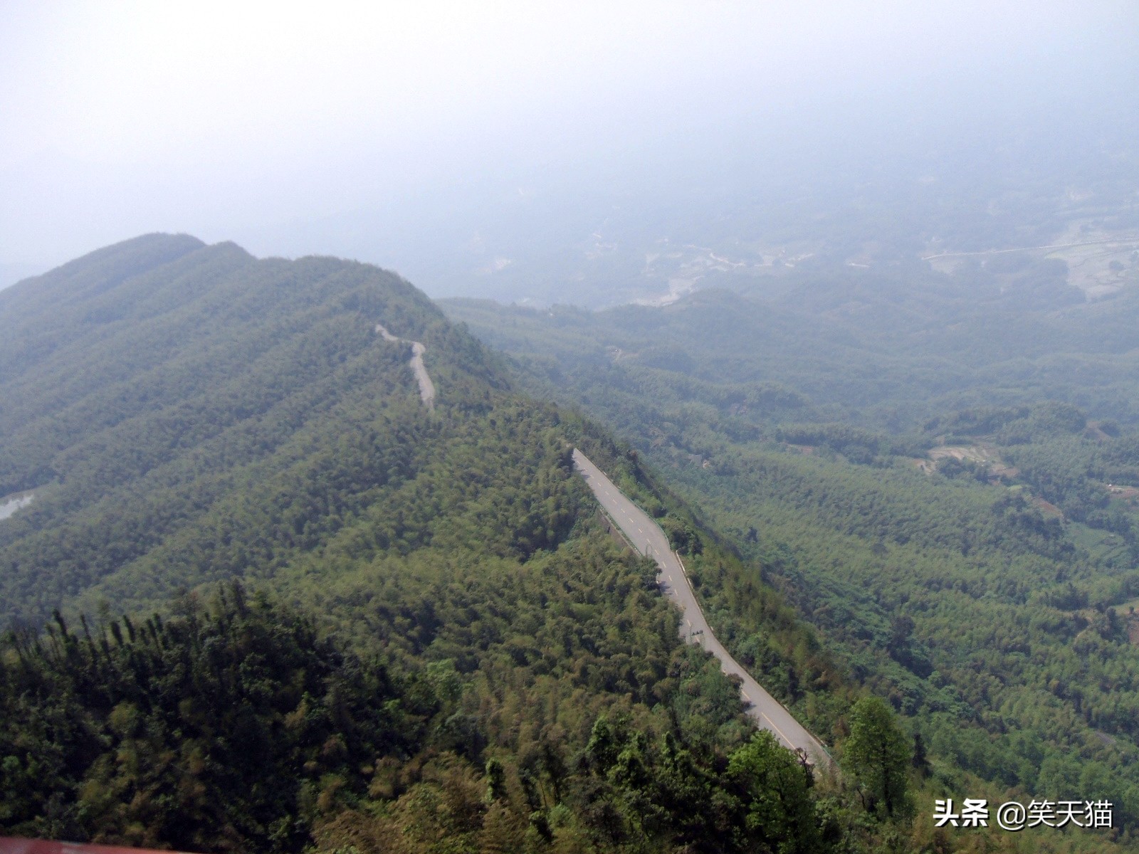 四川宜宾竹海风景,宜宾蜀南竹海全视频