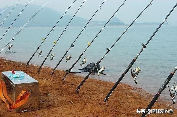 野钓用海竿钓巨物技巧,海竿中鱼率最高的野钓方法