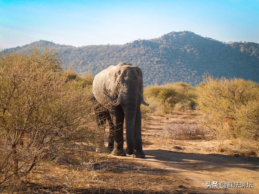 商标起名大全,商标起名大全服装