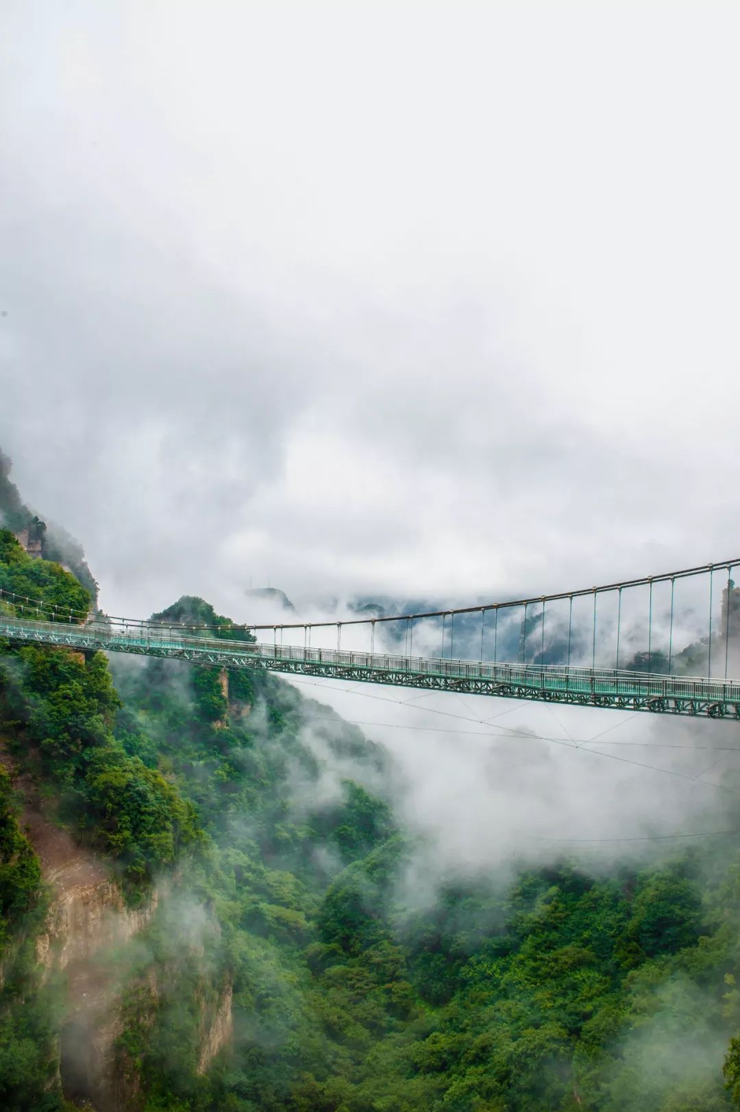 三佳会员免费领取,三佳会员福利怎么样