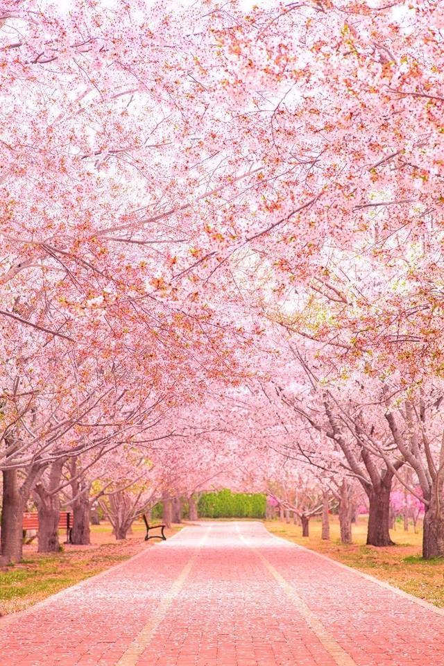 突然就想去旅游了,忽然间就想去厦门了