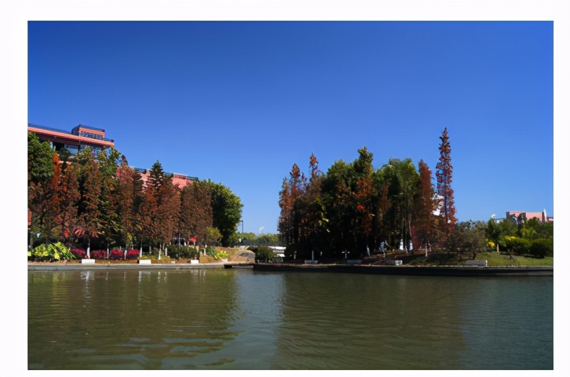 广州美术学院的建筑学专业排名,广州美术学院专业录取分数线