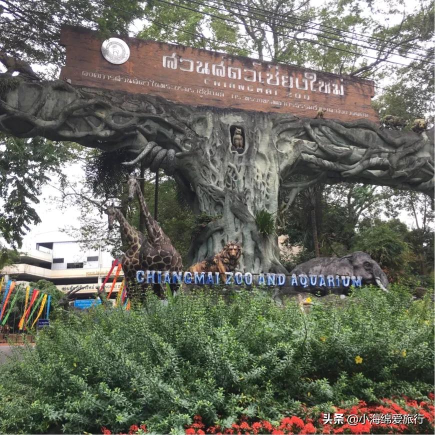 和闺蜜一起玩,玩遍曼谷普吉岛清迈