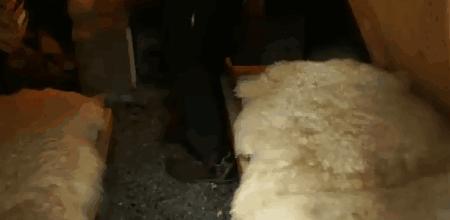 鎶婇厭搴楀仛鎴愰厭搴楄鏈夌殑鏍峰瓙,鎶婇厭搴楁敼閫犳垚鏈棩鍫″瀿