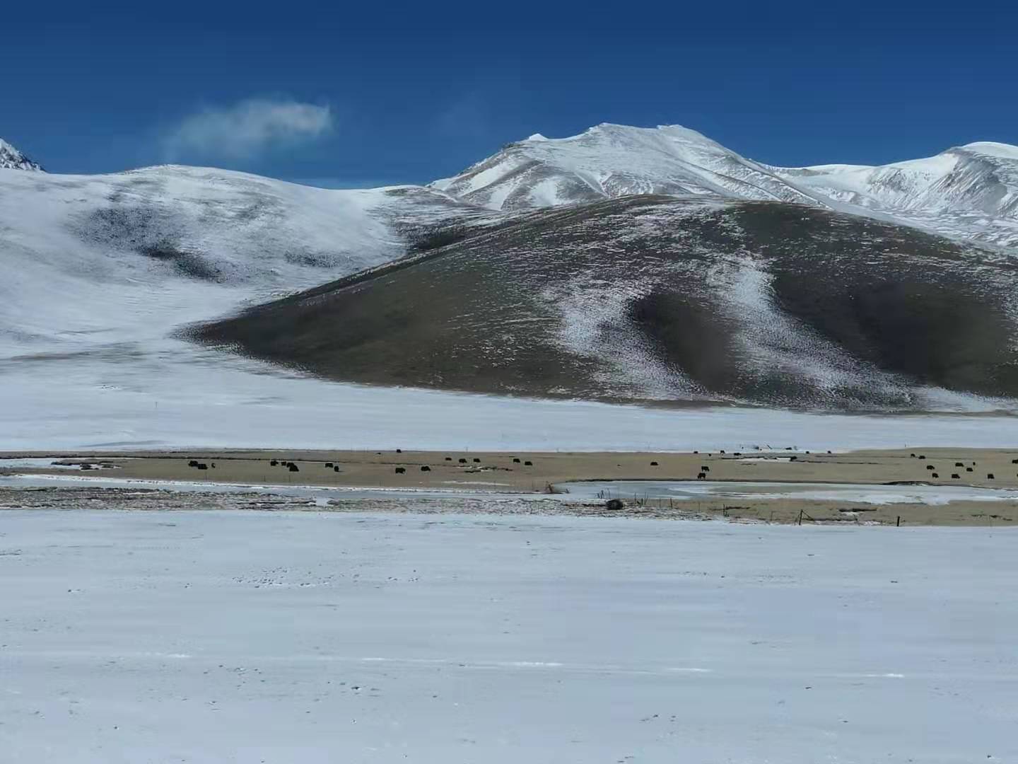 去西藏高原反应怎么解决,去西藏高原玩如何避免高原反应