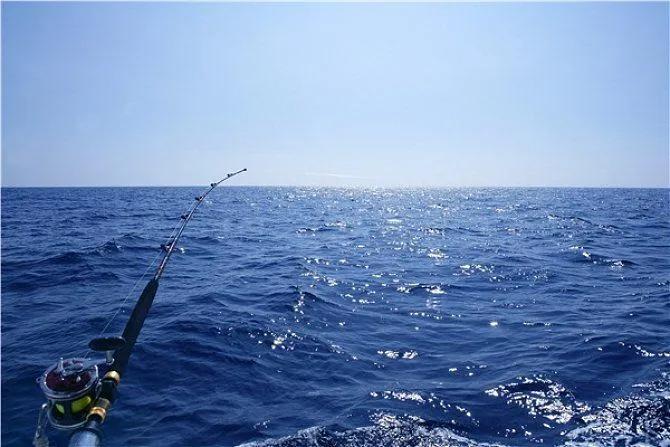 深圳南澳野钓免费最佳地点,深圳光明附近哪里可以野钓