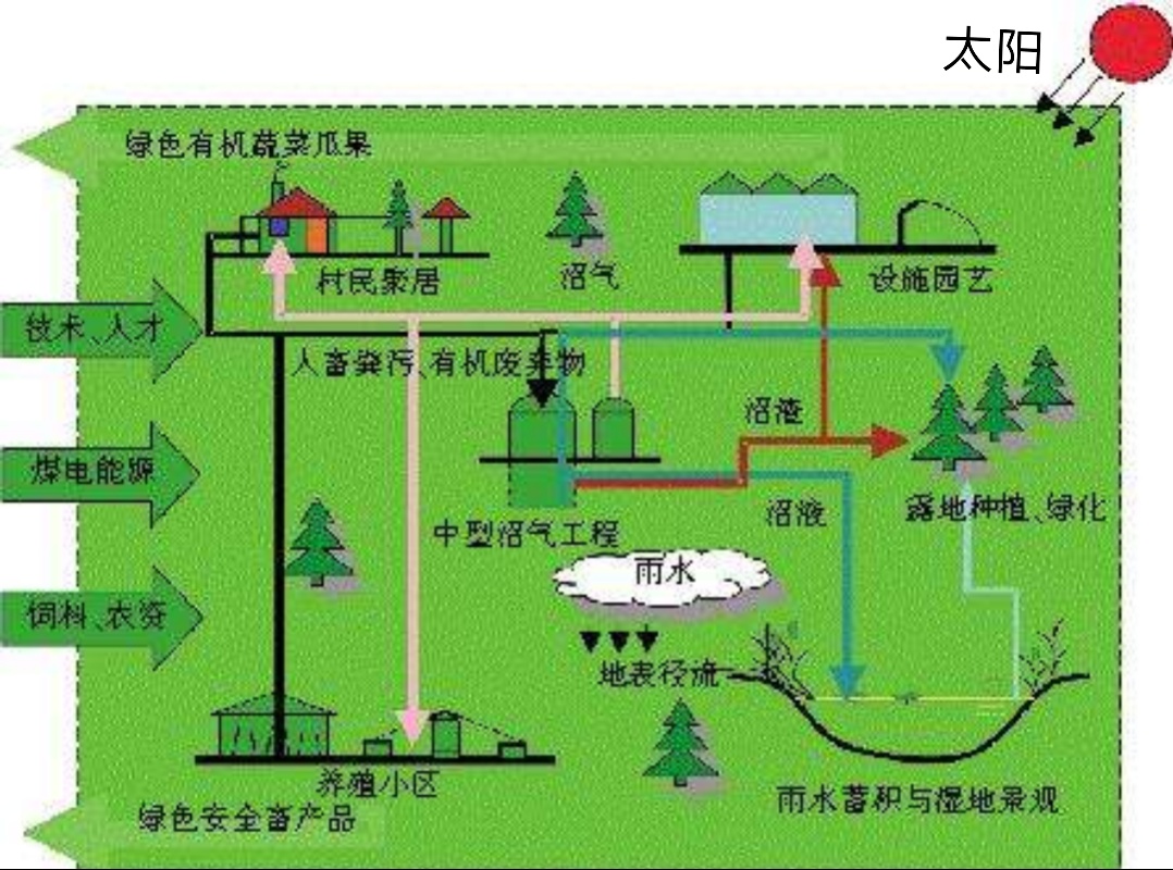 你认为生态农业是什么样的,生态农业的真实感悟