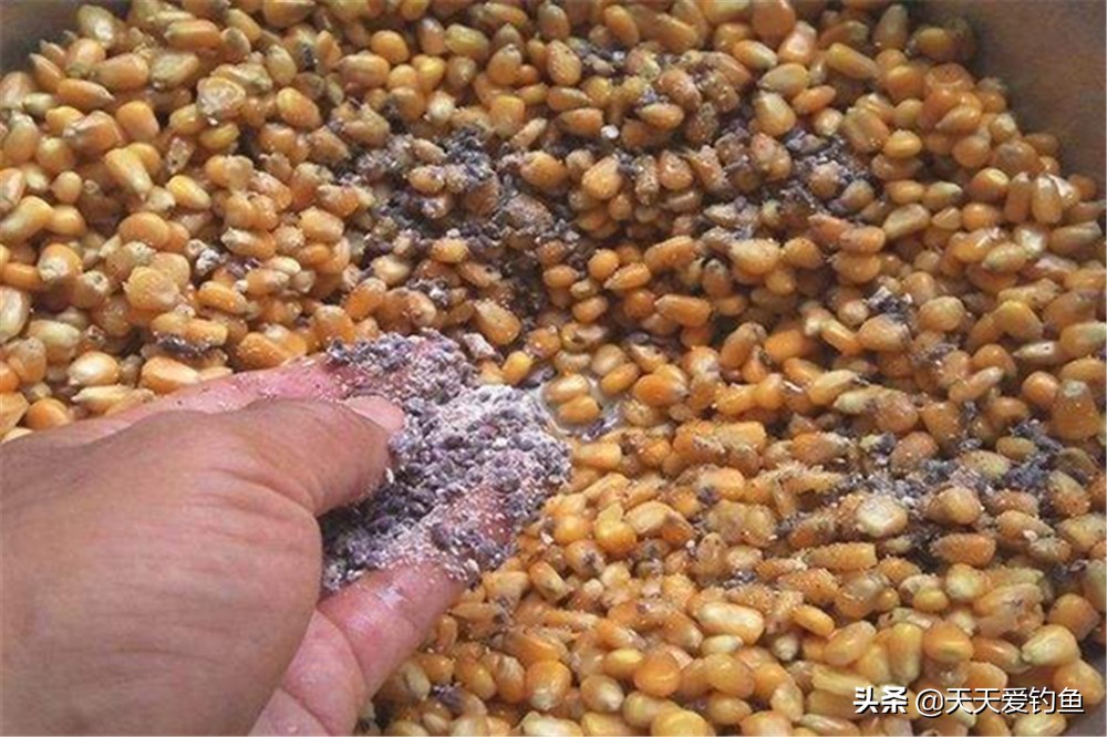 冬天钓鲫鱼自己制作窝料方法,立冬野钓大鲫鱼的诀窍