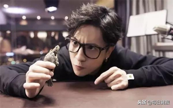 中国第一网红排行榜,中国第一网红有哪些