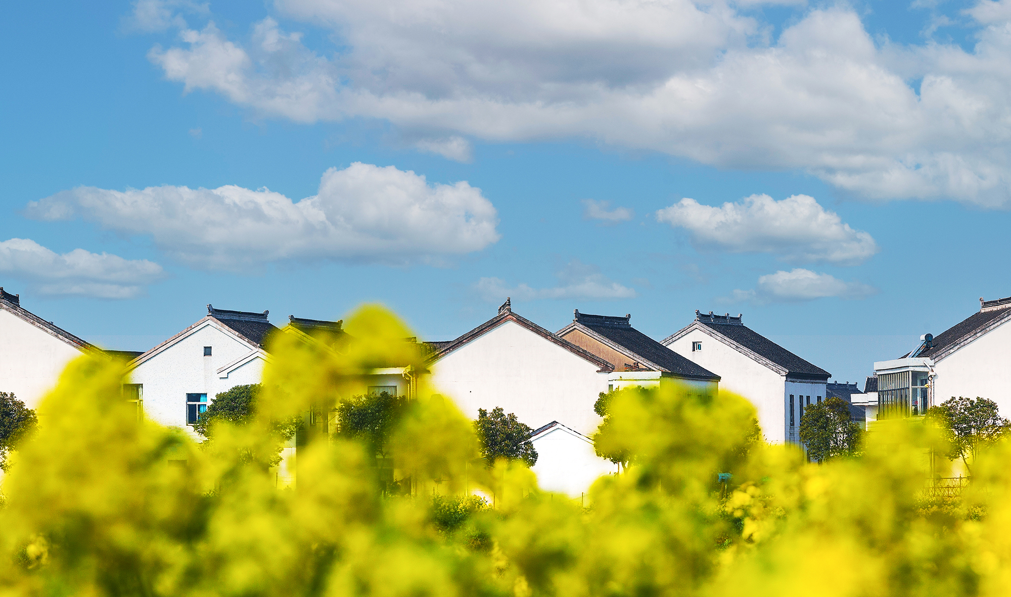 刚好我也喜欢你暮回全文阅读,刚好我也喜欢你小说完整版