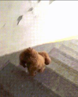 开心一刻gif搞笑,搞笑gif开心一刻好有节奏感