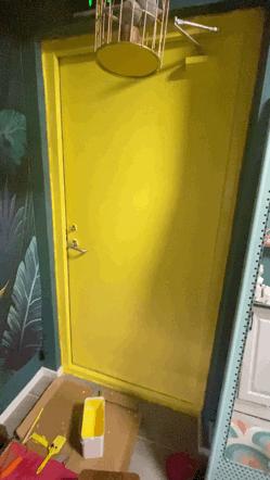 门套改色刷漆好还是贴膜好,入户门刷漆改色能用几年