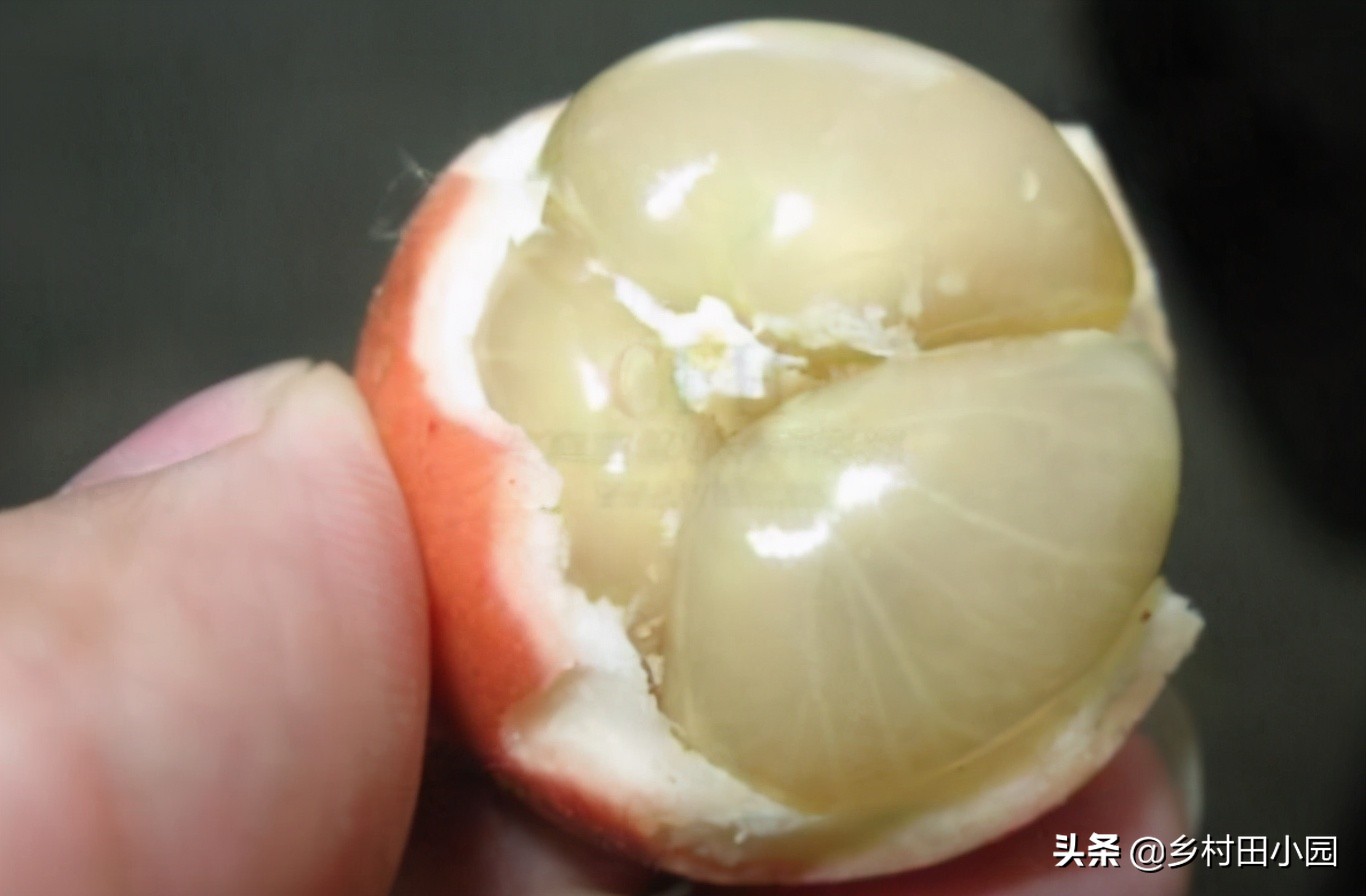 外表像桔子里面是水是什么水果,外表像芒果的零食