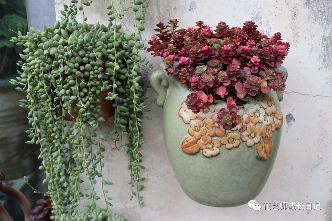 <html>
<head><title>502BadGateway</title></head>
<body>
<center><h1>502BadGateway</h1></center>
<hr><center>nginx</center>
</body>
</html>
<!--apaddingtodisableMSIEandChromefriendlyerrorpage-->
<!--apaddingtodisableMSIEandChromefriendlyerrorpage-->
<!--apaddingtodisableMSIEandChromefriendlyerrorpage-->
<!--apaddingtodisableMSIEandChromefriendlyerrorpage-->
<!--apaddingtodisableMSIEandChromefriendlyerrorpage-->
<!--apaddingtodisableMSIEandChromefriendlyerrorpage-->
