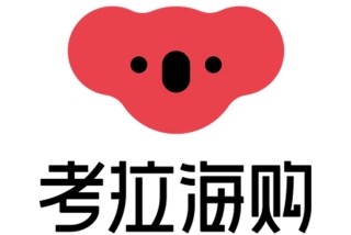 马云和英国跨境电商巨头,跨境电商独立站两大巨头