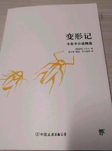 最怕的不是变成甲虫，而是人与人关系的异化、人与社会的异化