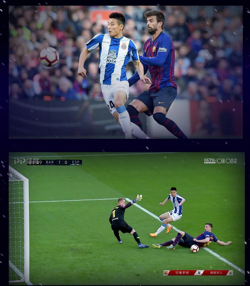 从未如此期待春天到来,从未如此期待未来