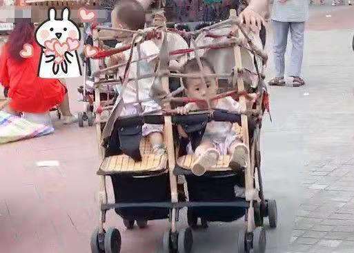 婴儿车改造宠物推车全封闭,婴儿车改造双胞胎车