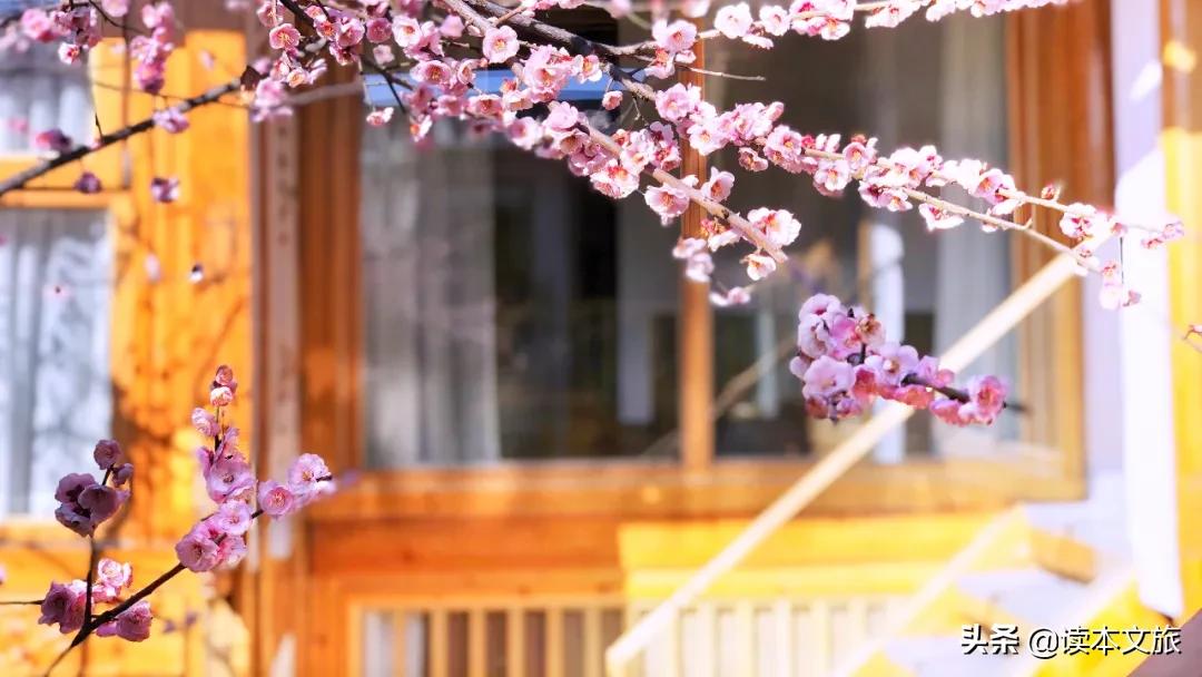 丽江古城内的花园美宿,丽江凡尘观景美宿