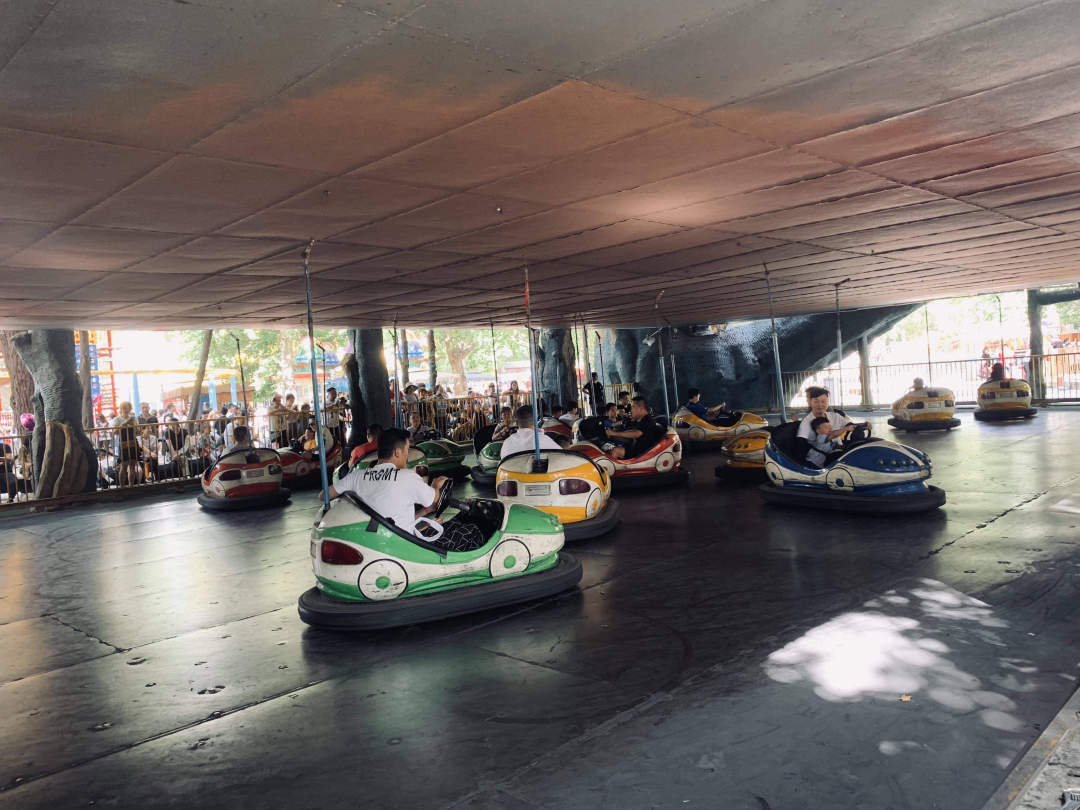 最美的西安兴庆公园,西安兴庆公园一道美丽的风景线